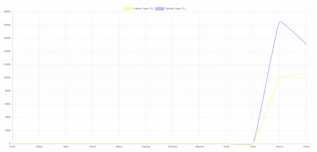 ödeme tahsilat raporu